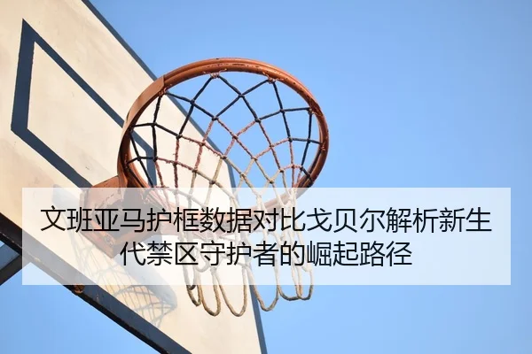 文班亚马护框数据对比戈贝尔解析新生代禁区守护者的崛起路径