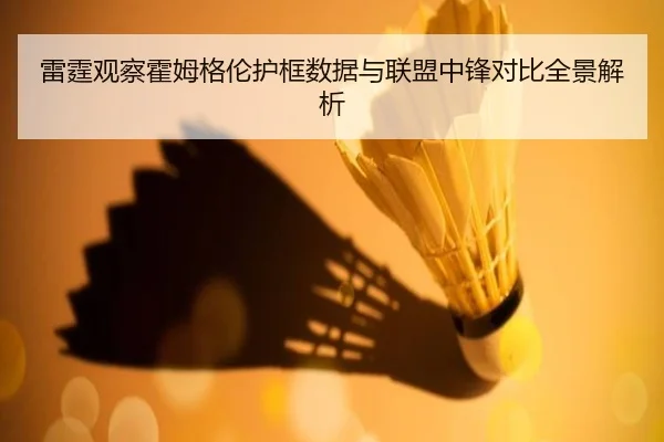 雷霆观察霍姆格伦护框数据与联盟中锋对比全景解析